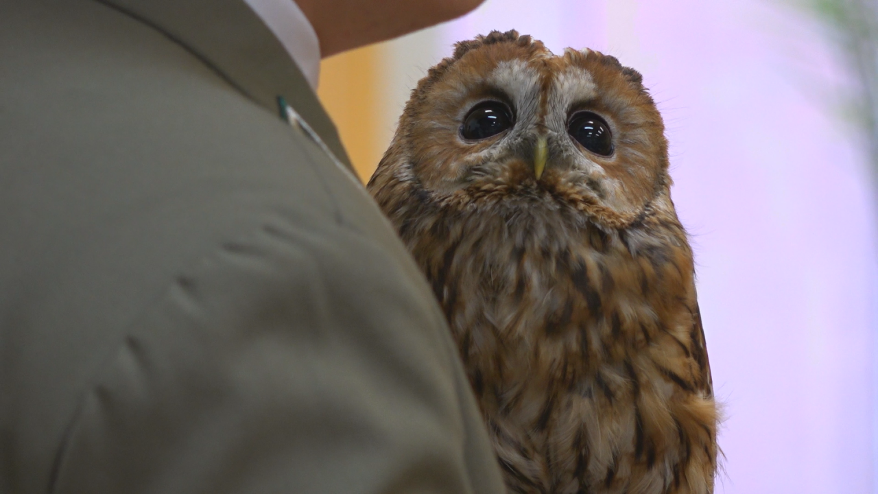 ,,Co w lesie huczy?'' -  Ogólnopolska akcja w III LO