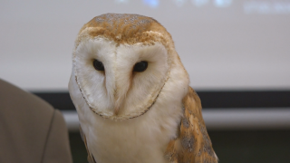 INFORMACJE 17.02.2026