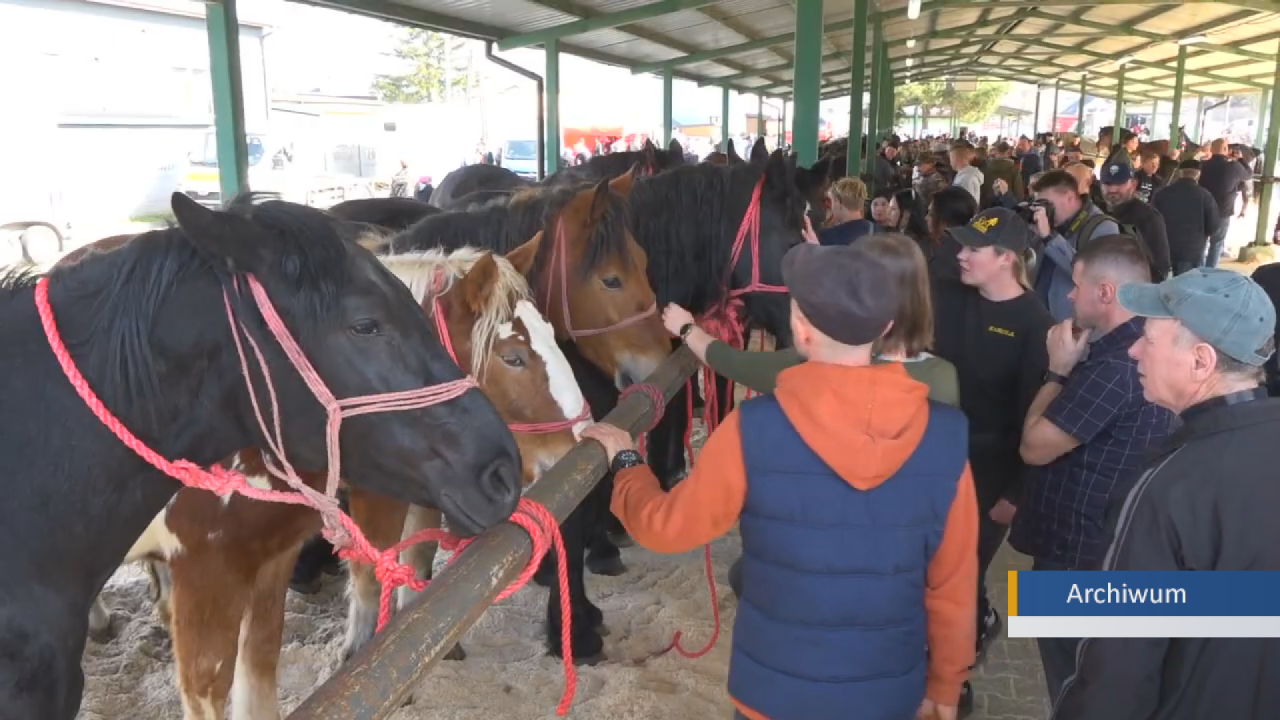 Zbliża się Skaryszewski Jarmark Koński Wstępy