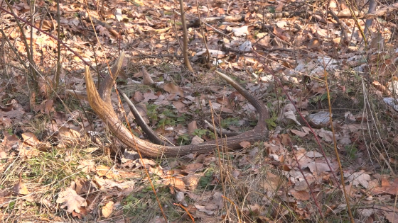 INFORMACJE 03.03.2026