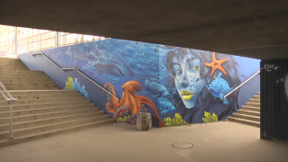 Kolorowa metamorfoza w Radomiu 