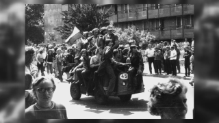 Radomski Czerwiec z dedykowaną reklamą w Google?