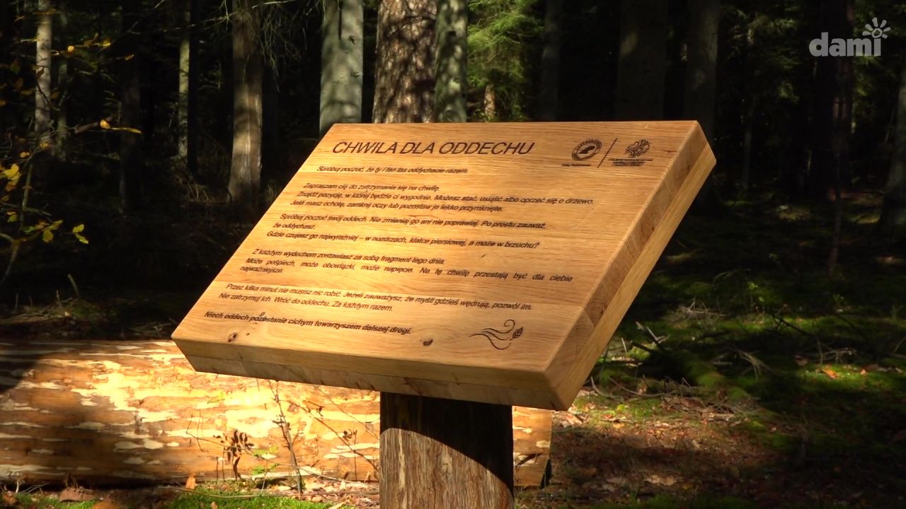 W Puszczy Kozienickiej powstała nowa wyjątkowa atrakcja