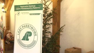 Pierwszy Rodzinny Piknik Grzybowy w Radomiu